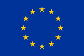 EU EOM logo
